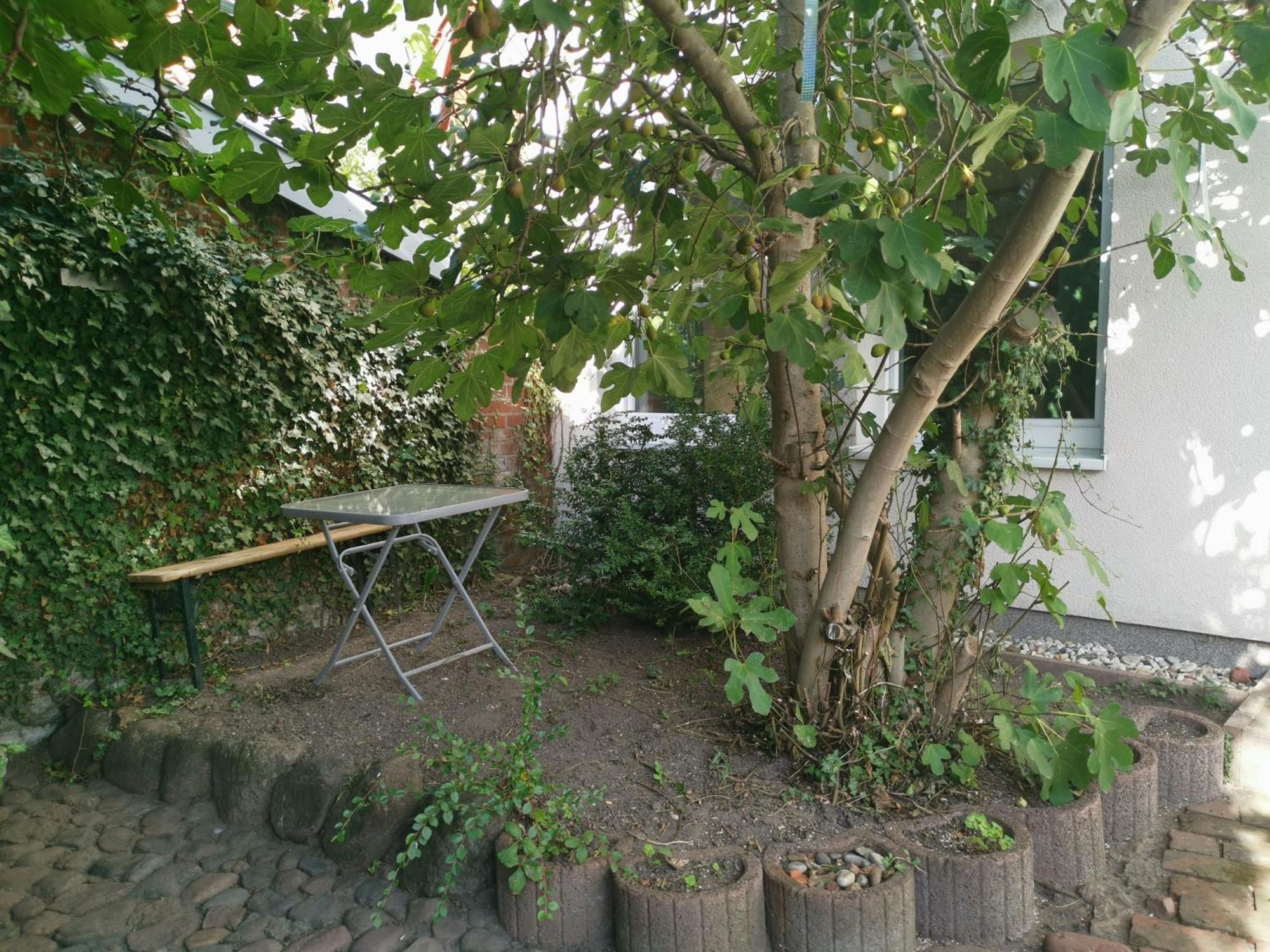 Haus Am Hafen Villa Neustadt in Holstein Dış mekan fotoğraf